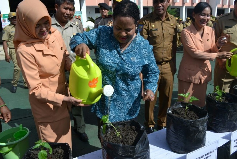 Ketua TP PKK Provinsi Papua, Yulce W. Enembe, meresmikan pencanangan Gertam (Gerakan Tanam) Cabai Se-Provinsi Papu di Kantor Gubernur Papua pada Senin (20/2)