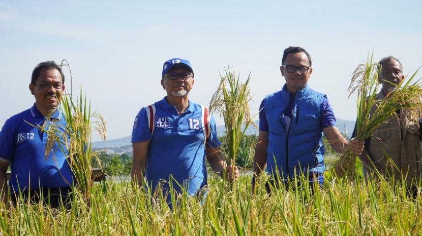 Ketua Umum PAN Zulkifli Hasan bersama Wali Kota Bogor Bima Arya saat menghadiri panen perdana padi di sawah agro wisata organis Mulyaharja, Bogor Selatan, Kota Bogor, Sabtu (14/1/2023). 
