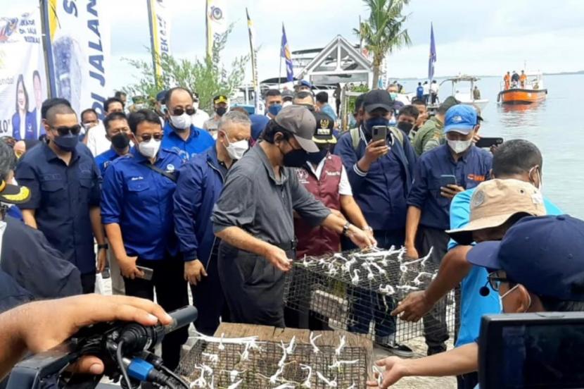 Ketua Umum Partai Nasdem Surya Paloh (tengah) bersiap menanam lamun laut di Kawasan Kepulauan Seribu, DKI Jakarta, Sabtu (20/11).