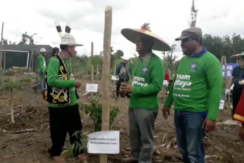 Ketua Umum PP Muhammadiyah, Haedar Nashir (tengah) saat mengikuti Tanam Raya Bibit Lada dan Gaharu di kampung Batu Rajang, Kecamatan Segah, Kabupaten Berau Provinsi Kalimantan Tengah, (1/10). 