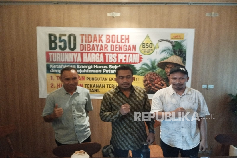 Ketua SPKS: Program B50 Jangan Dibayar dengan Turunnya Harga TBS Petani