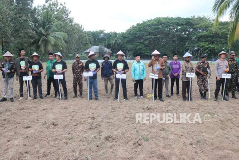 Ketum Ansor Addin Jauharudin melakukan penanaman jagung di Gorontalo. 