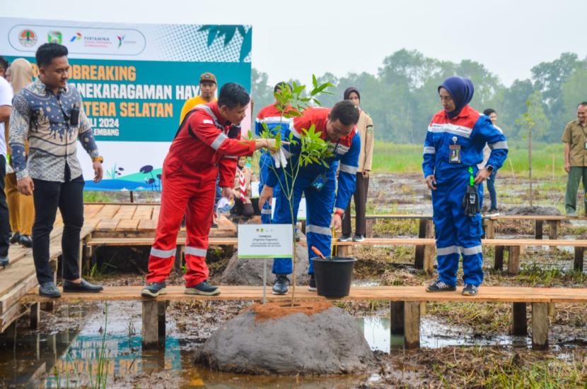  Kilang Pertamina Plaju membangun taman rawa di Kawasan Jakabaring Sport Center. 