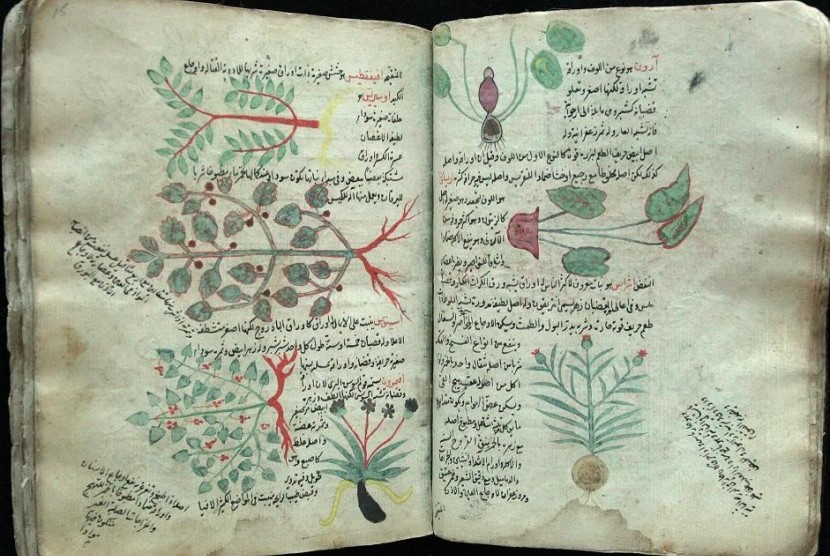 Kitab karya Ibnu al-Baytar, al-Jami fi al-Adwiya al- Mufrada.