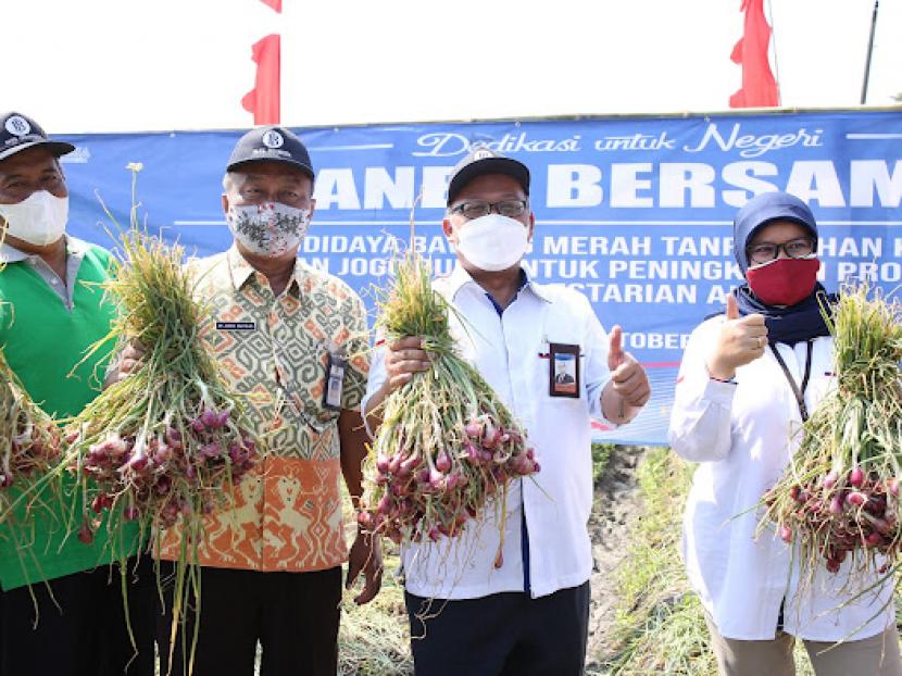 Klaster Asosiasi Bawang Merah Indonesia (ABMI) Kabupaten Sragen binaan Bank Indonesia (BI) Solo melakukan panen raya bawang merah organik pada Jumat (8/10). 