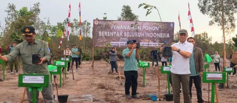 KLHK bersama BPDASHL Batu Cerucuk Babel melakukan penanaman bibit buah di lahan kritis yang berlokasi di Desa Payung, Kabupaten Bangka Selatan, Ahad (14/1/2024).