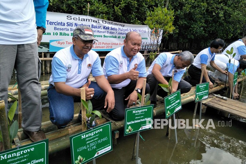 Koalisis Lestari Hutanku bersama Kementerian Lingkungan Hidup dan Kehutanan mengadakan kegiatan menanam pohon mangrove di Pantai Indah Kapuk, Jakarta Utara, Ahad (14/1). 