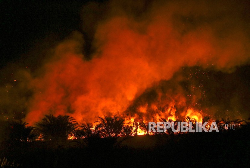 Kobaran api menyala dari lahan perkebunan sawit yang terbakar di Arisan Jaya, Ogan Ilir (OI), Sumatera Selatan, Rabu (25/7). 