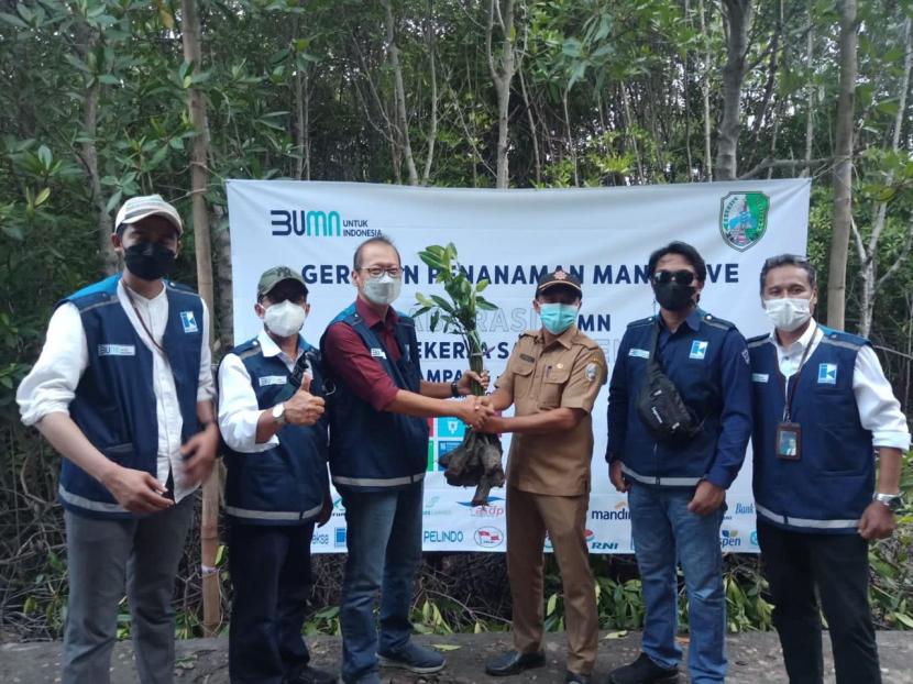 Kolaborasi 25 BUMN mendukung rehabilitasi mangrove di Kabupaten Sampang, Madura,  Jawa Timur, Ahad (28/11).
