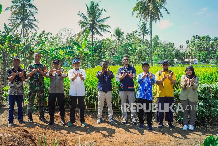 Kolaborasi antara PT Wijaya Karya (Persero) Tbk (WIKA), Universitas Gadjah Mada (UGM), dan Pemerintah Desa Grogol membuahkan hasil nyata melalui gelaran Panen Raya yang berlangsung pada Sabtu (2/8/2025) di Kabupaten Gunung Kidul.