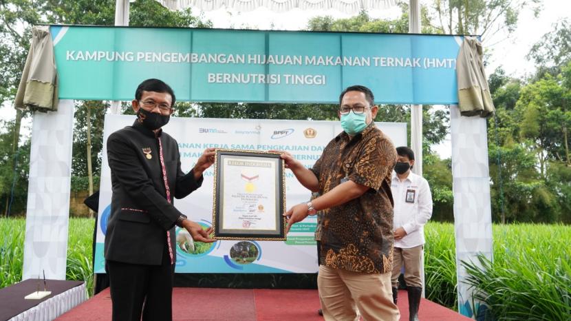 Kolaborasi Bio Farma, BPPT dan Unpad menghasilkan penetapan rekor Museum Rekor Dunia Indonesia (MURI). Hal ini berdasarkan pada adanya lonjakan yang cukup signifikan, pada rumput odot dan kikuyu yang biasanya mencapai 120-150 ton per hektar per tahun, terjadi peningkatan setelah kolaborasi ini berjalan