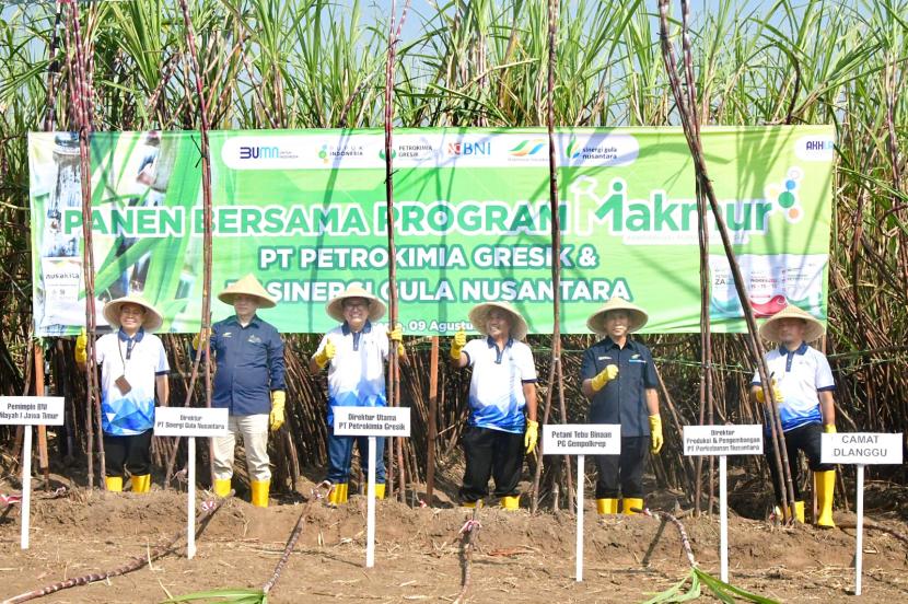 Kolaborasi PT Pupuk Indonesia berkolaborasi dengan PT Perkebunan Nusantara (PTPN) III berhasil meningkatkan produktivitas tebu melalui program Makmur di Mojokerto, Jawa Timur. 