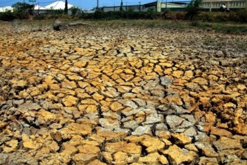 Fenomena iklim El Nino memicu musim kemarau Tahun 2023.