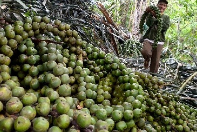 Kolang-kaling