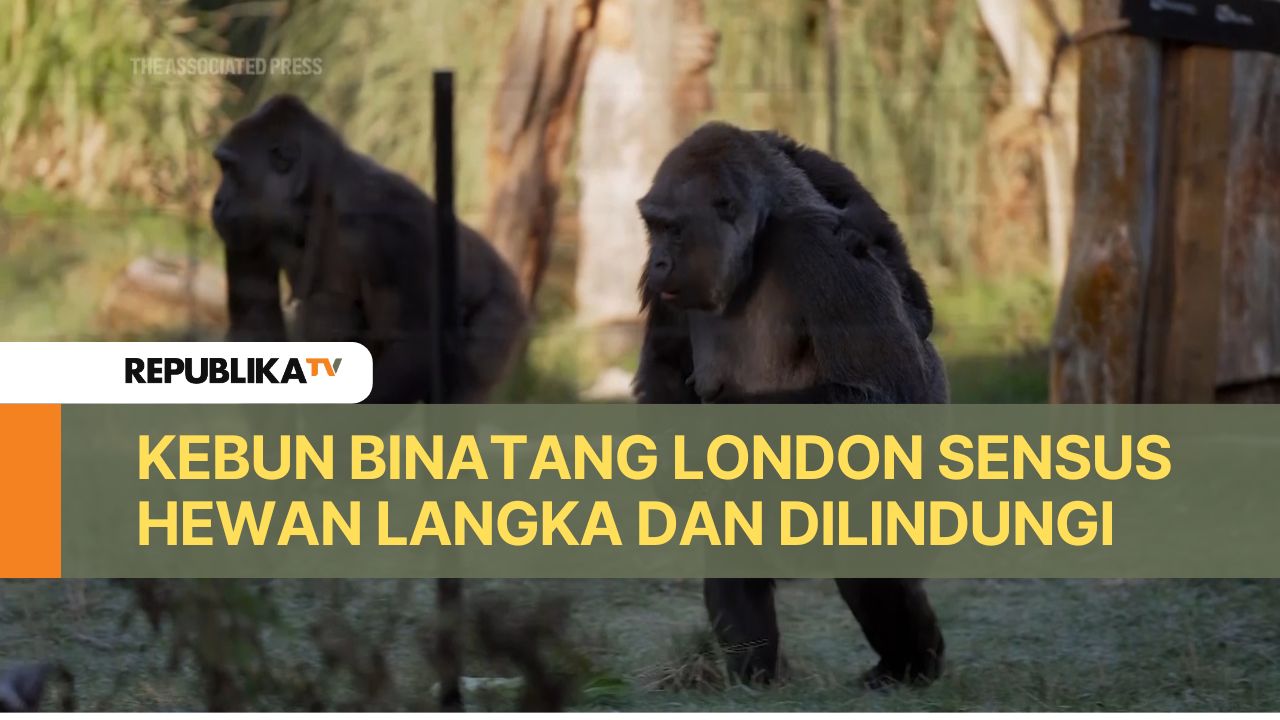 Koleksi Kebun Binatang London