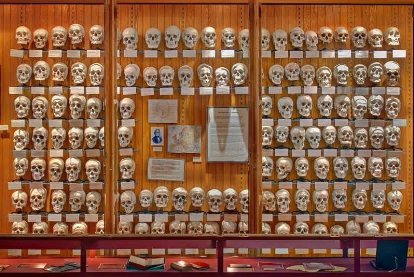 Koleksi tulang tengkorak milik drJoseph Hyrtl di Museum Mutter