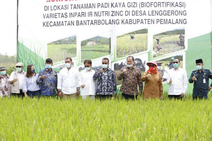 Komisi IV DPR mengunjungi lahan pertanian padi biofortifikasi di Desa Langgerong, Kecamatan Bantarbolang, Kabupaten Pemalang, Jawa tengah.