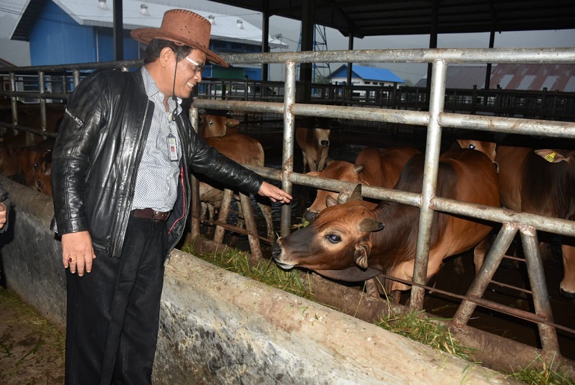 Komisi IV DPR RI mendukung pengembangan Sapi Aceh demi swasembada protein hewani di Indonesia