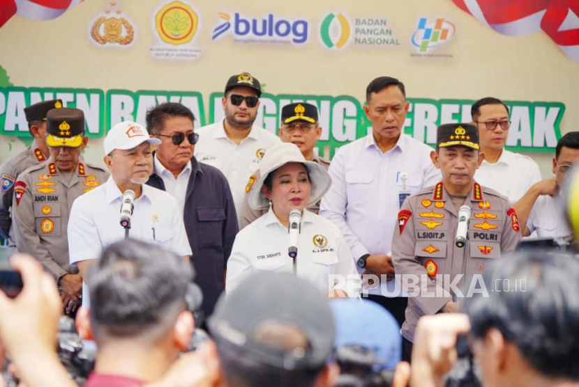 Komisi IV Nilai Reformasi Pangan Perkuat Program Swasembada