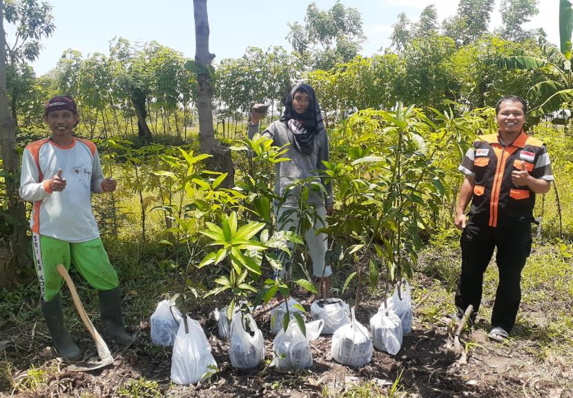 Komitmen Rumah Zakat untuk membantu petani tidak diragukan lagi. Hal ini dibuktikan dengan pemberian bantuan bibit pohon mangga kepada petani di Kelurahan Margadana, Kota Tegal, Jawa Tengah pada Ahad (20/9).