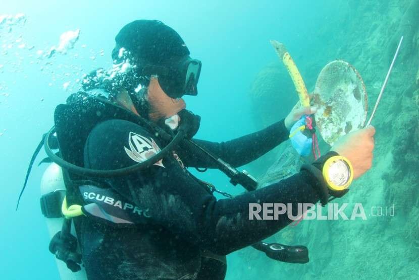 Penyelam membersihkan sampah di dasar lautan. (Ilustrasi)