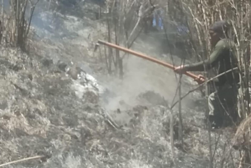 Kondisi jalur pendakian Gunung Semeru yang terbakar sejak 17 September  lalu.
