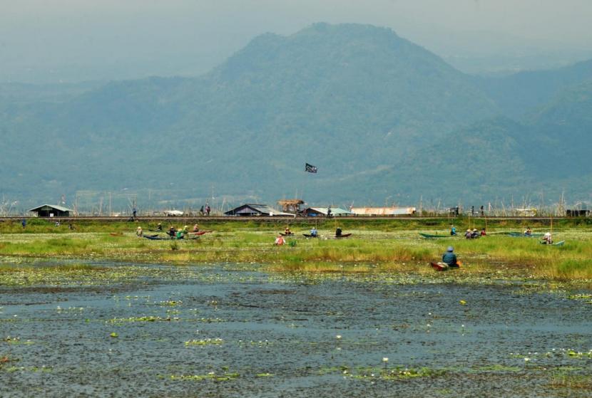 Kondisi lahan pertanian yang tergenang elevasi danau Rawapening, di wilayah Desa Asinan, Kecamatan Bawen, Kabupaten Semarang, tampak dimanfaatkan masyarakat untuk megail ikan, Jumat (13/8).