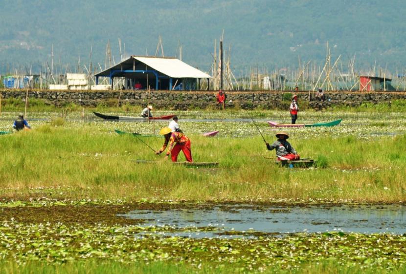 Kondisi lahan pertanian yang tergenang elevasi danau Rawapening, di wilayah Desa Asinan, Kecamatan Bawen, Kabupaten Semarang, tampak dimanfaatkan masyarakat untuk mengail ikan, Jumat (13/8).