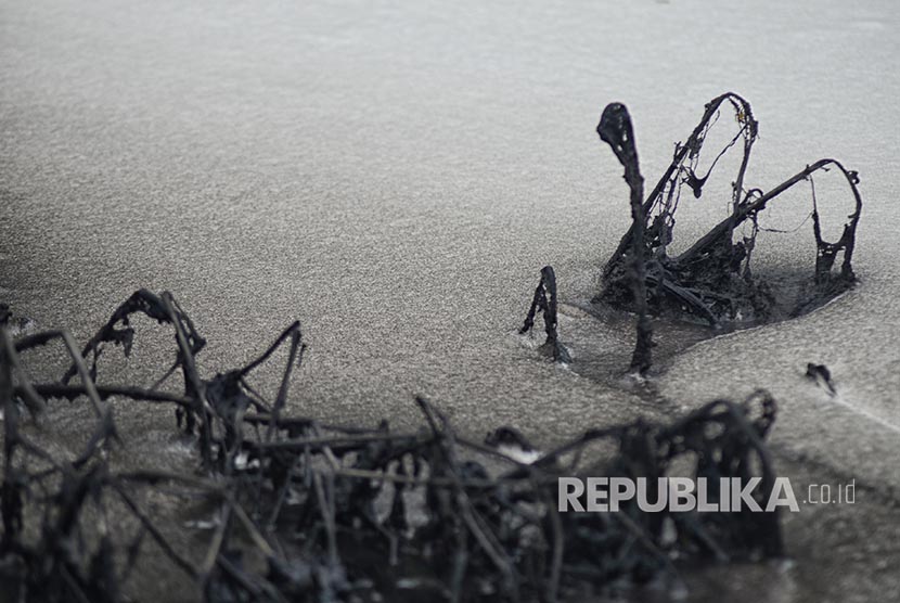 Kondisi sampah yang menumpuk di Sungai Citarum Lama..