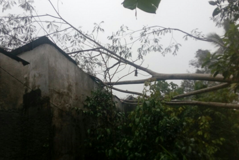 Kondisi satu rumah yang tertimpa pohon tumbang di Desa Hargobinangun, Kecamatan Pakem, Kabupaten Sleman, DIY.