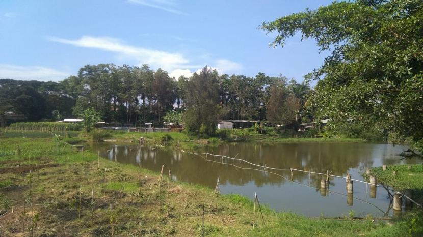 Kondisi aliran Sungai Cimanuk di Jembatan Copong, Desa Haurpanggung, Kecamatan Tarogong Kidul, Kabupaten Garut.