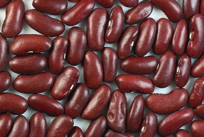 Konsumsi rutin kacang merah bantu Anda hidup lebih sehat