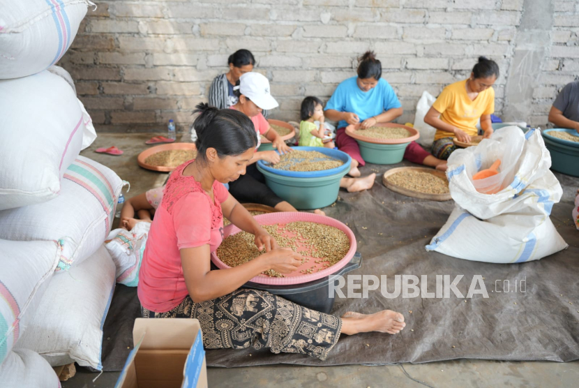 Kopi Kenangan membantu memperkuat rantai pasok Kopi Kintamani Bali, 