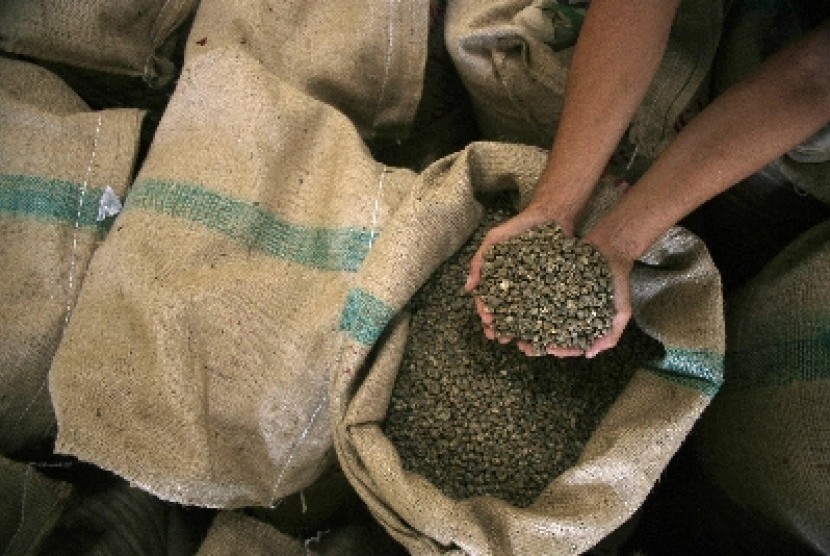 Kopi robusta (ilustrasi). Kementerian Perindustrian (Kemenperin) terus memacu keberlangsungan usaha industri pengolahan kopi di dalam negeri.
