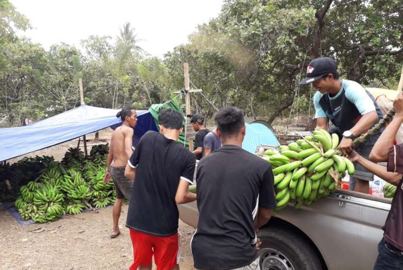 Korban gempa di Desa Gumantar, Kecamatan Kayangan, Kabupaten Lombok Utara, menjual hasil bumi untuk disumbangkan kepada warga terdampak gempa di Palu dan Donggala. 