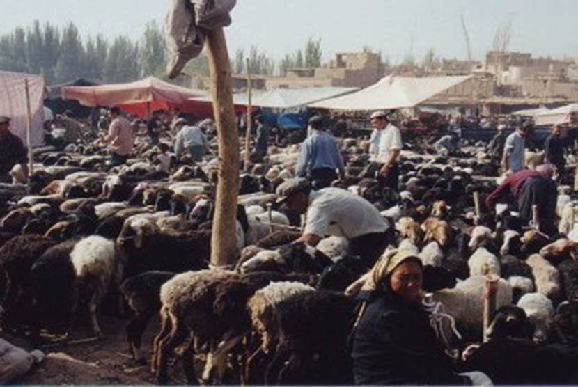 Kota Kashgar di Cina yang terkenal dengan kambingnya dan Muslim Uyghur