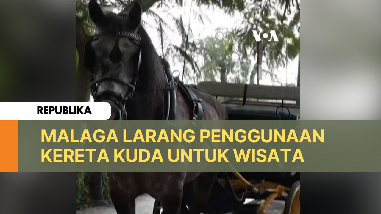 Kota Malaga melarang penggunaan kereta kuda untuk wisatawan