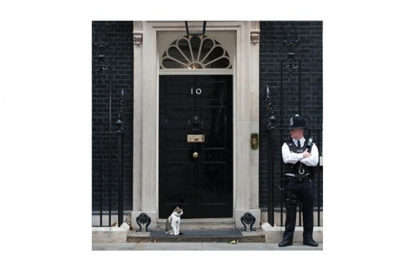 Kucing Larry tetap tinggal di Downing Street.