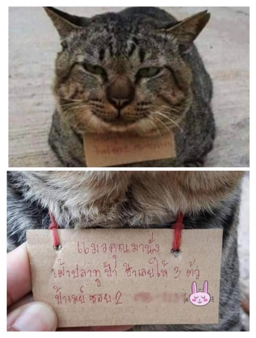Kucing milik Chang Phuak yang hilang selama tiga hari, lalu kembali dengan membawa catatan utang.