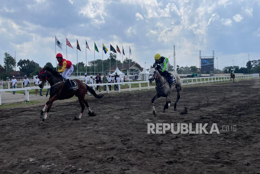 Kuda pacuan dalam ajang Indonesia Horse Racing Cup (IHR Cup) 2025 di Stadion Sultan Agung (SSA), Bantul. 