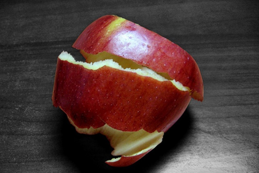 Kulit Apel (ilustrasi)
