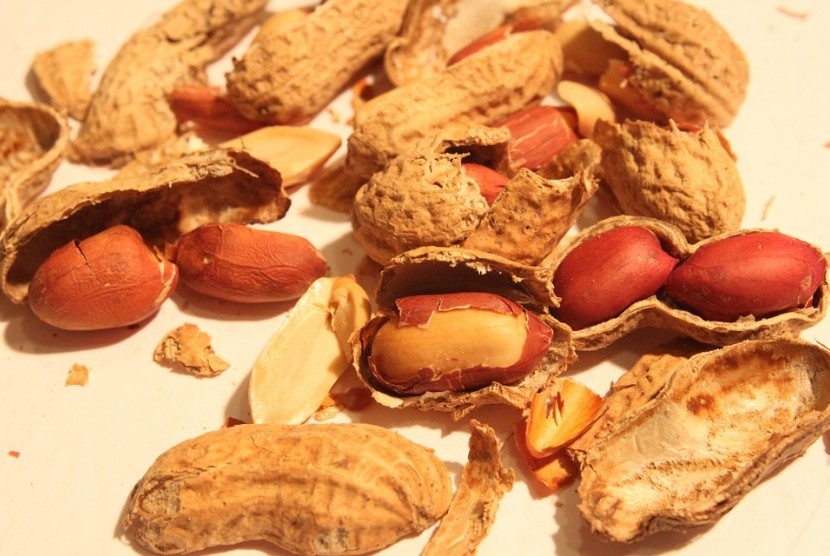 Kacang kulit bermanfaat untuk kesehatan. Studi terbaru menunjukkan bahwa mengonsumsi kacang kulit dapat membantu menghindari strok iskemik.