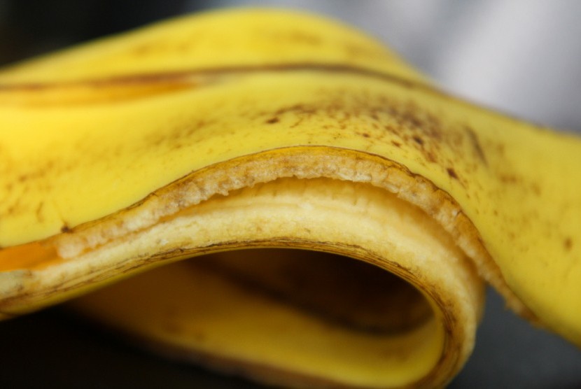 Kulit pisang kaya akan antioksidan, serat, dan nutrisi penting yang membantu mencerahkan kulit dan mengurangi kerutan. 
