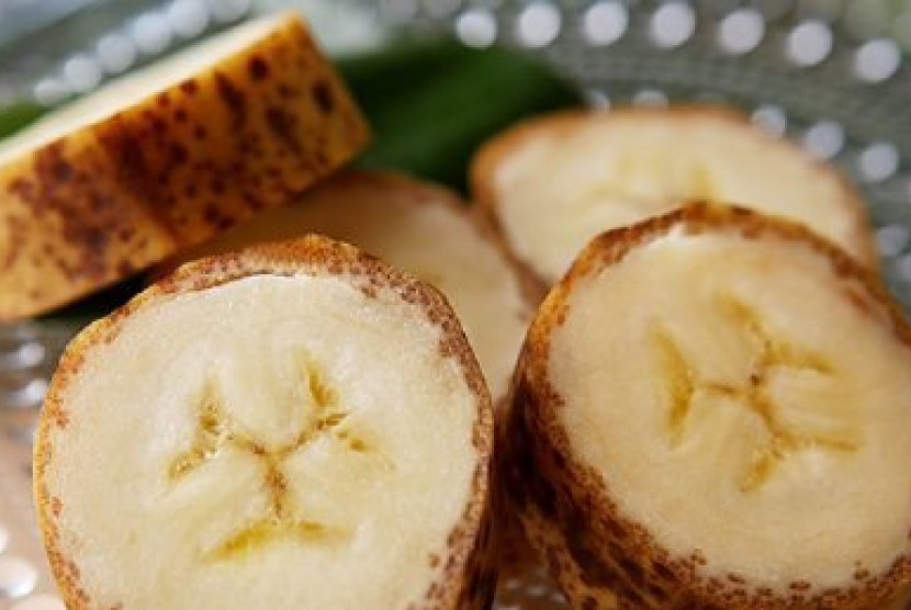 Kulit pisang Mongee dikatakan memiliki tekstur seperti selada, sedangkan buahnya sendiri tinggi gula.