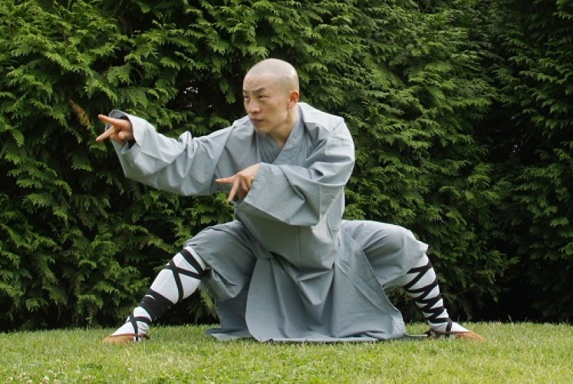 Kung Fu (Ilustrasi)