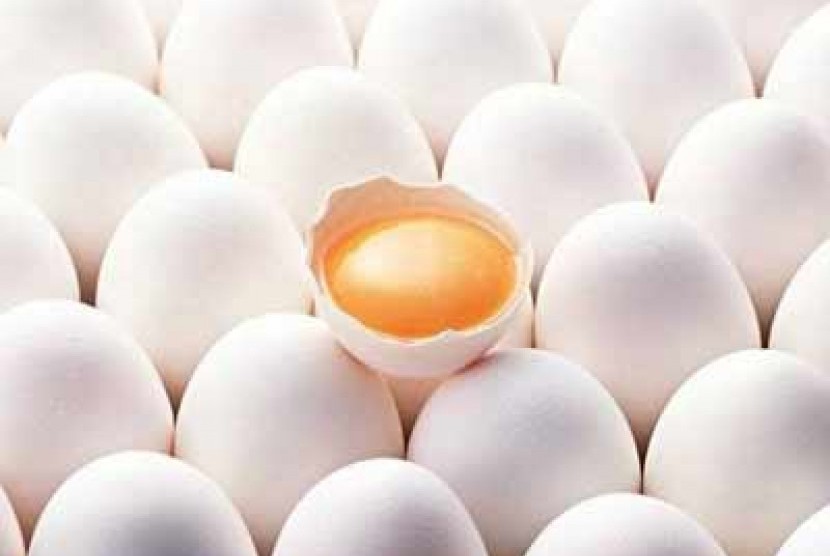 Telur (ilustrasi)
