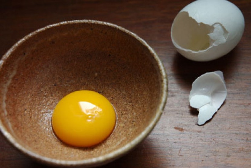Kuning telur/ilustrasi