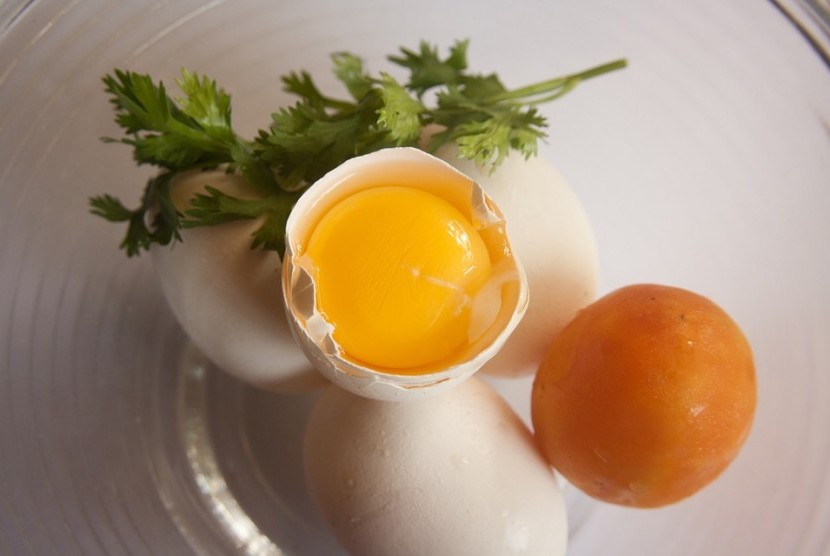 Kuning telur, makanan kaya akan kolesterol.