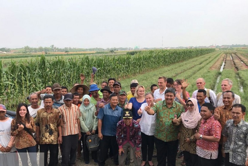 Kunjungan lapang sekaligus melakukan panen di Desa Pegandon, Kecamatan Gubug Sari, Kendal, Jawa Tengah. 