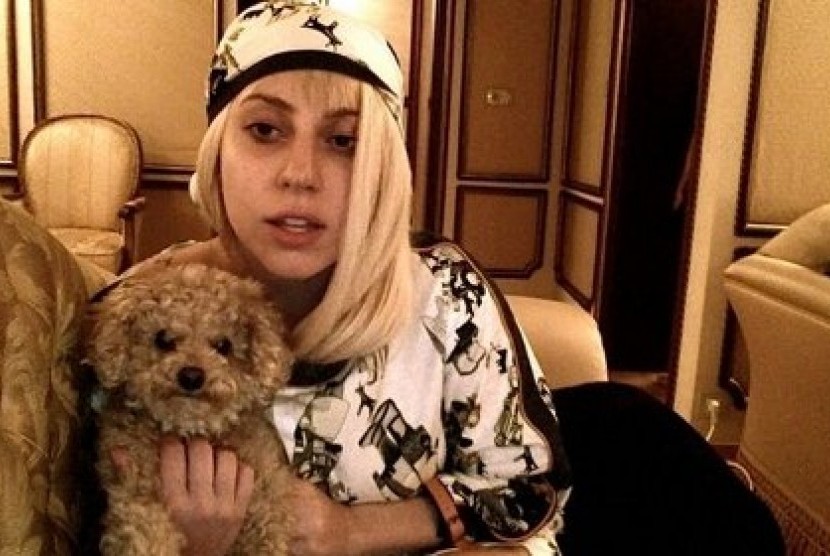 Lady Gaga dan anjingnya, Labradoodle Fozzi